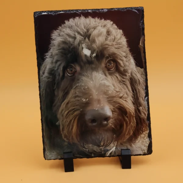 A picture of a dog on a stand.