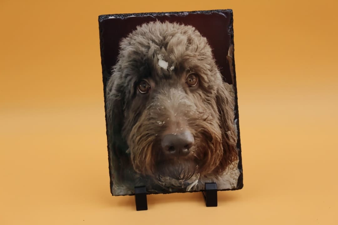 A picture of a dog on a stand.