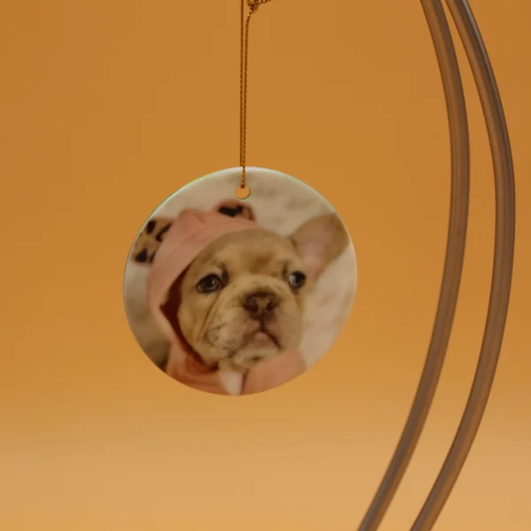 A dog is hanging on the wall